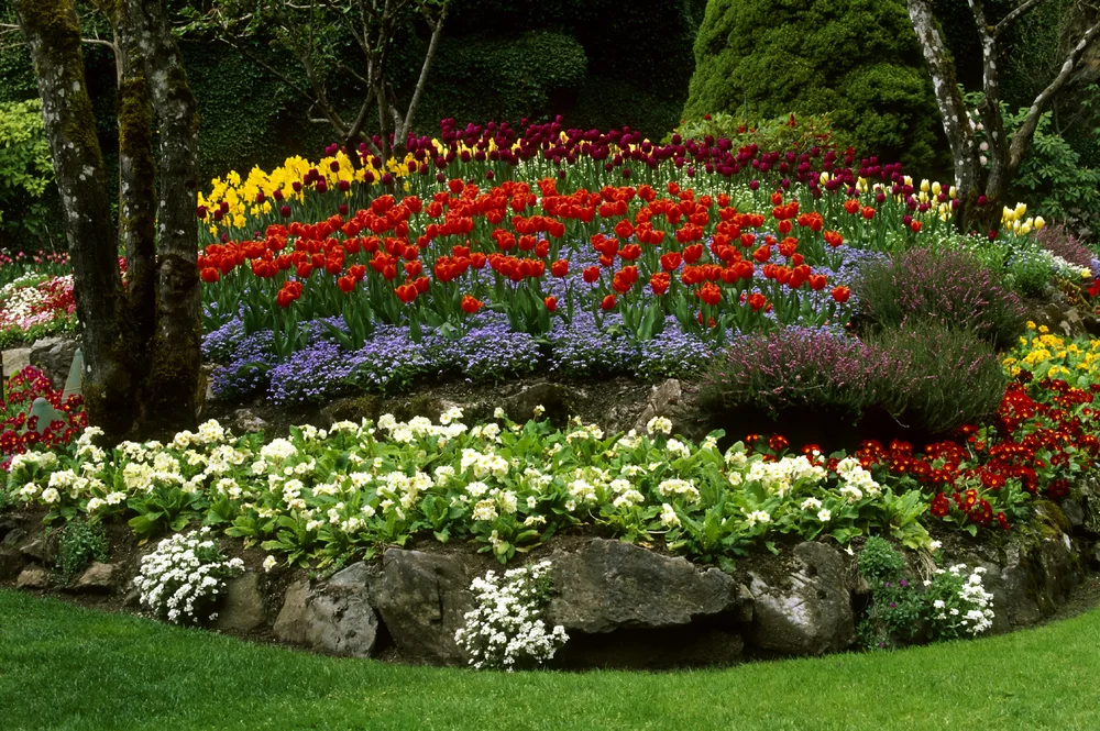 A layered paper cut-out collage of colorful garden flowers in red, yellow, purple, and white, arranged in neat rows among rocks and green grass, vibrant and lush.